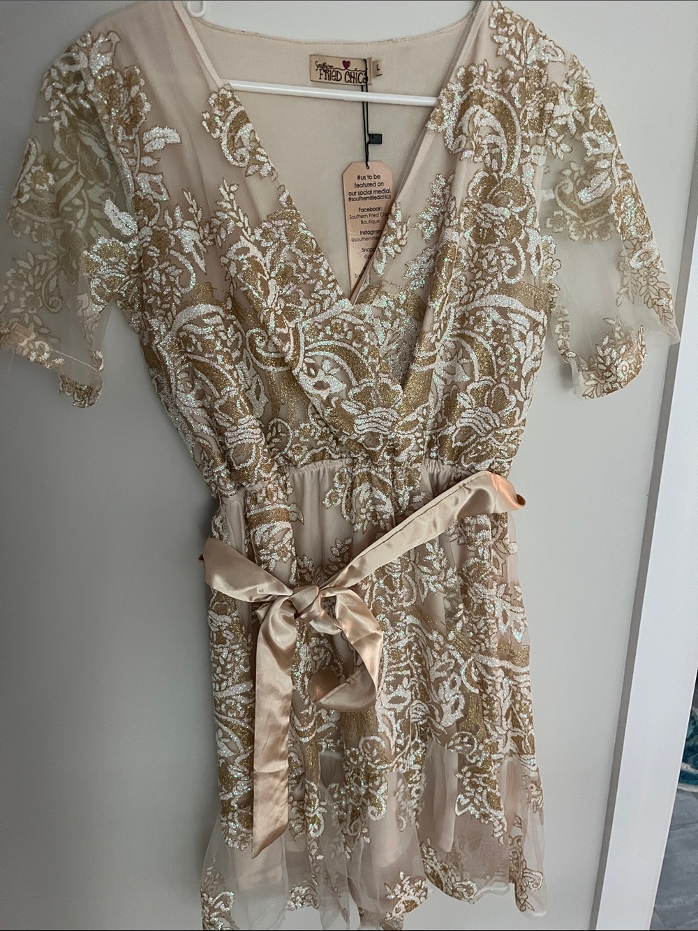 Frilled Chiffon Ivory Lace-Embroidered V-Neck Mini Dress